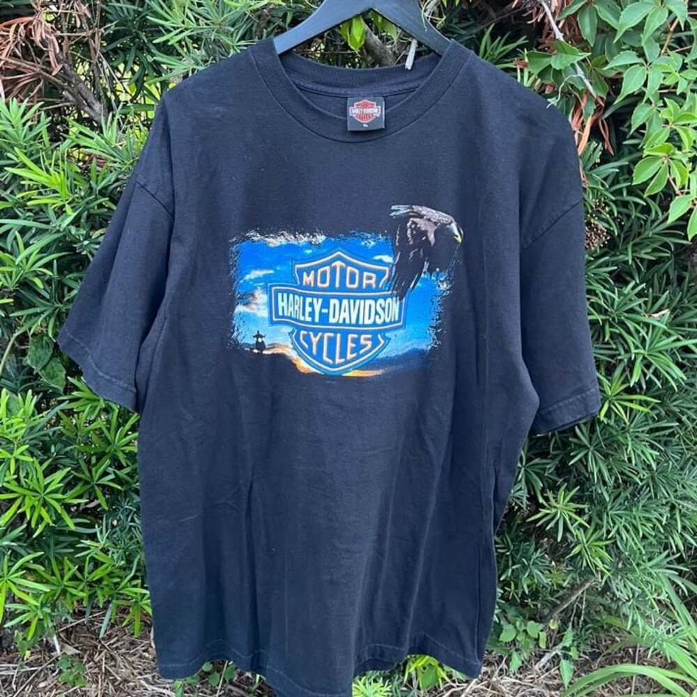Vintage 2004 Harley Davidson Motorcycle Arizona Apache Junction tee